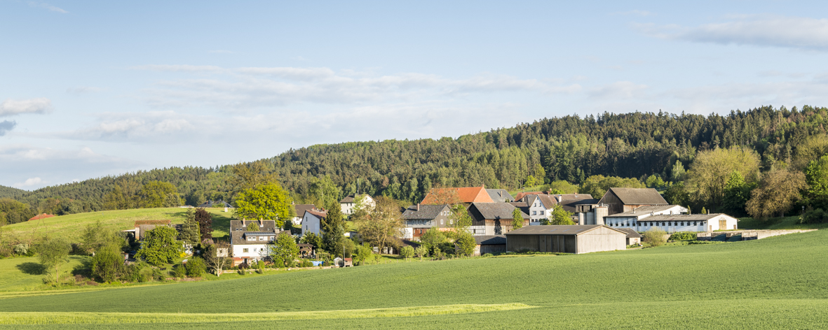 Panoramaaufnahme des Stadtteils Wellmersdorf.