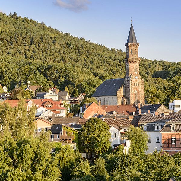 Ausschnitt aus der Stadtansicht von Neustadt bei Coburg, zentral ist die Stadtkirche St. Georg, im Hintergrund der Muppberg zu sehen.